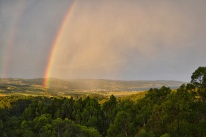 DSC_5896
